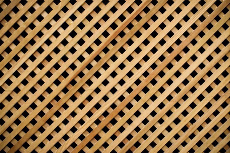 Build a Trellis Garage Gardening