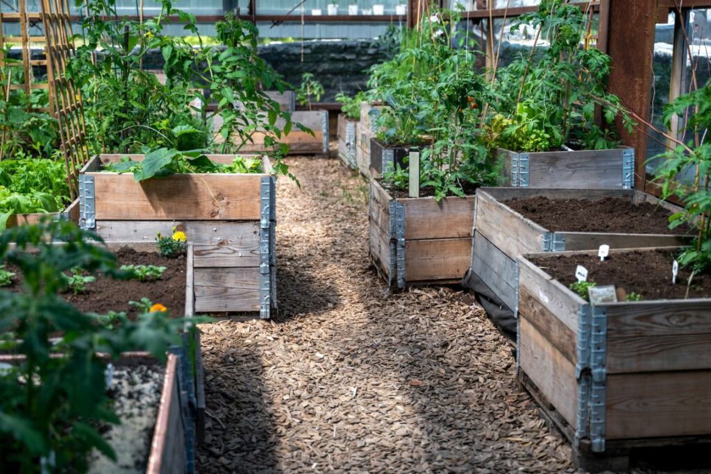 Raised Garden Beds Garage Gardening