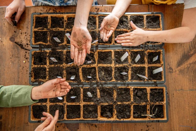 Maximizing Space: A Guide to Growing Vegetables in Your Garage – Garage ...